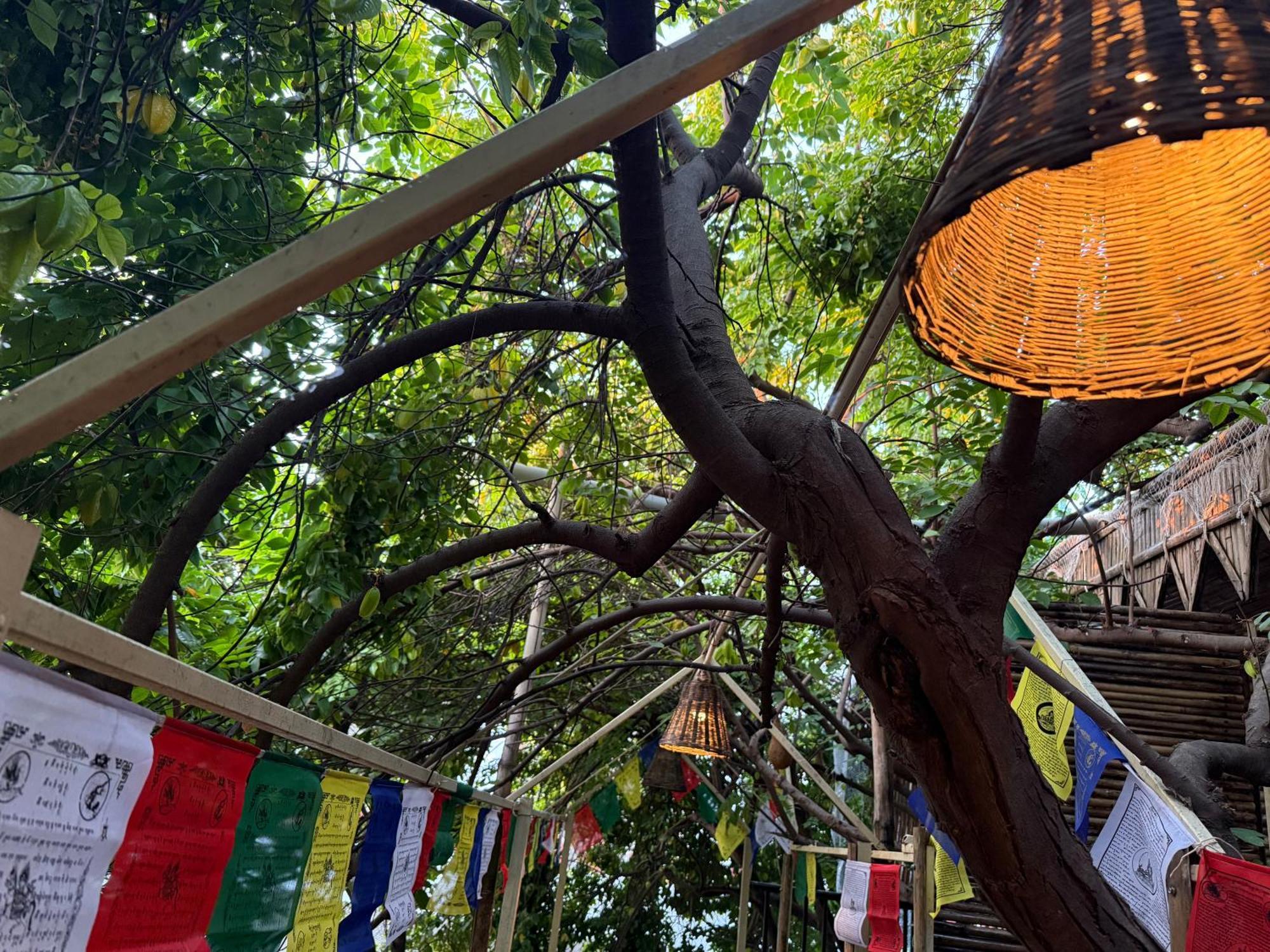 Hotel Green Heaven Resort Pushkar Luaran gambar