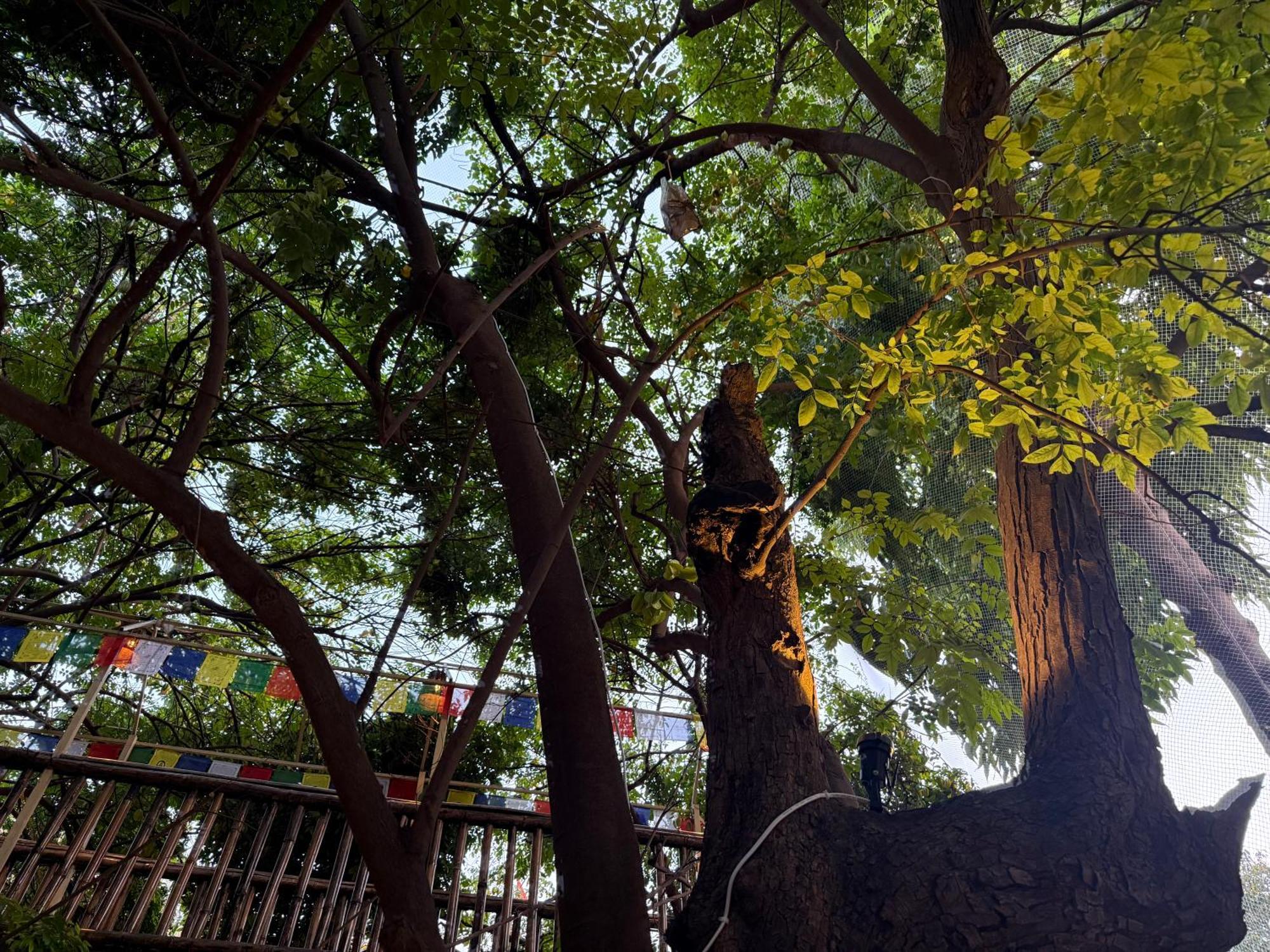 Hotel Green Heaven Resort Pushkar Luaran gambar
