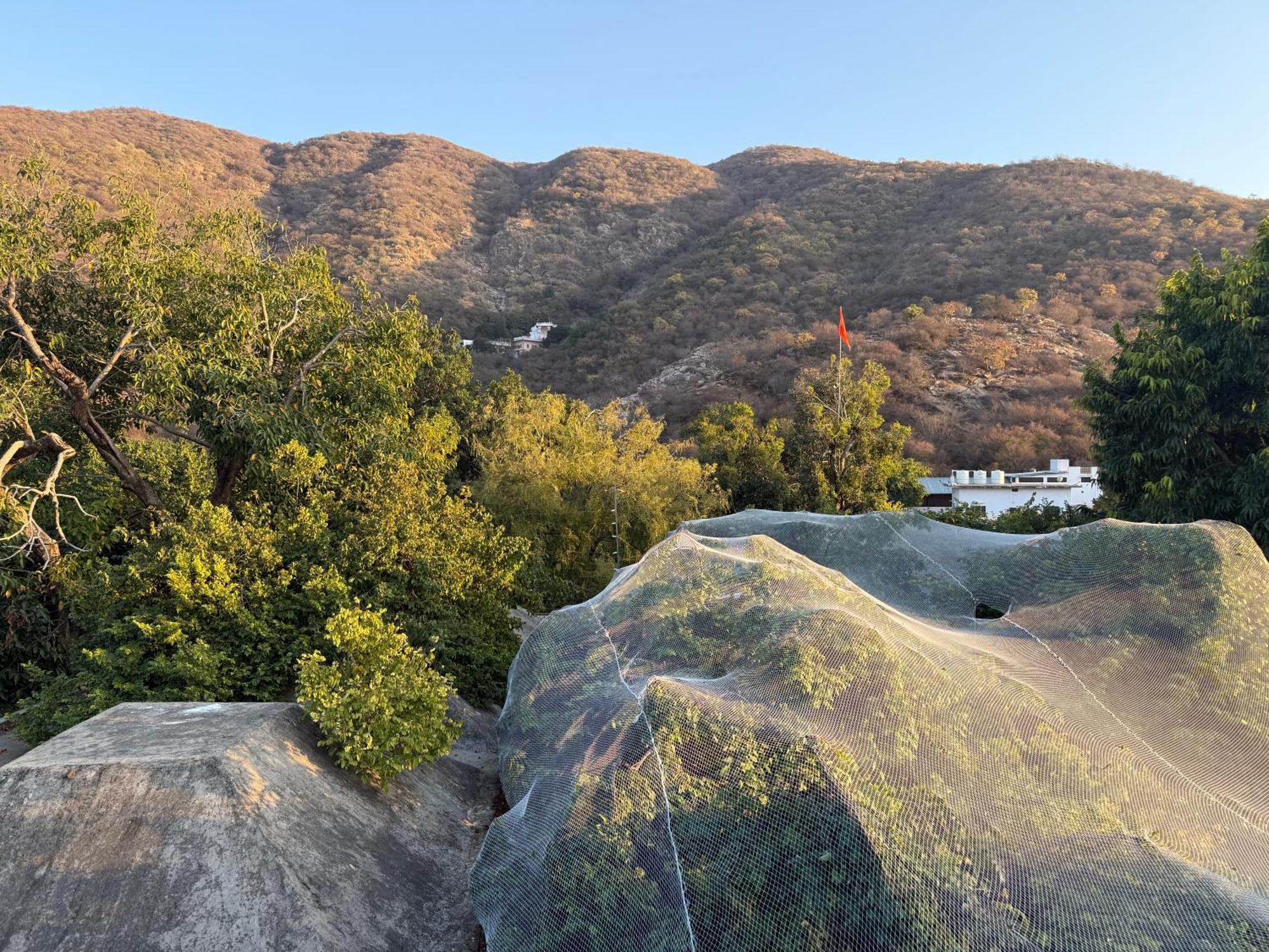 Hotel Green Heaven Resort Pushkar Luaran gambar