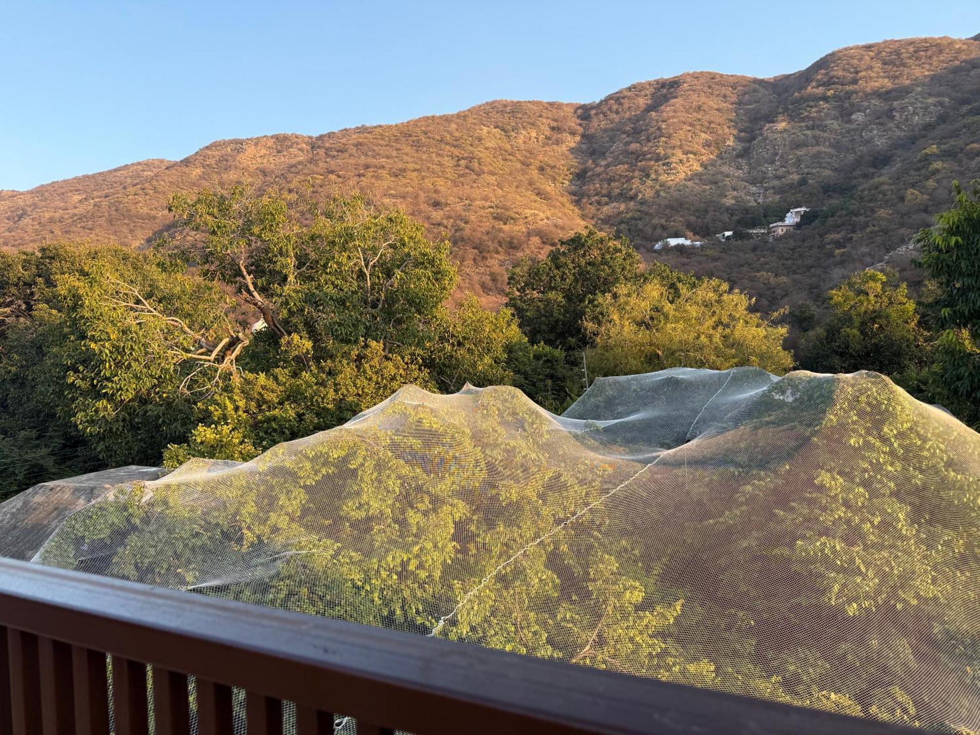 Hotel Green Heaven Resort Pushkar Luaran gambar