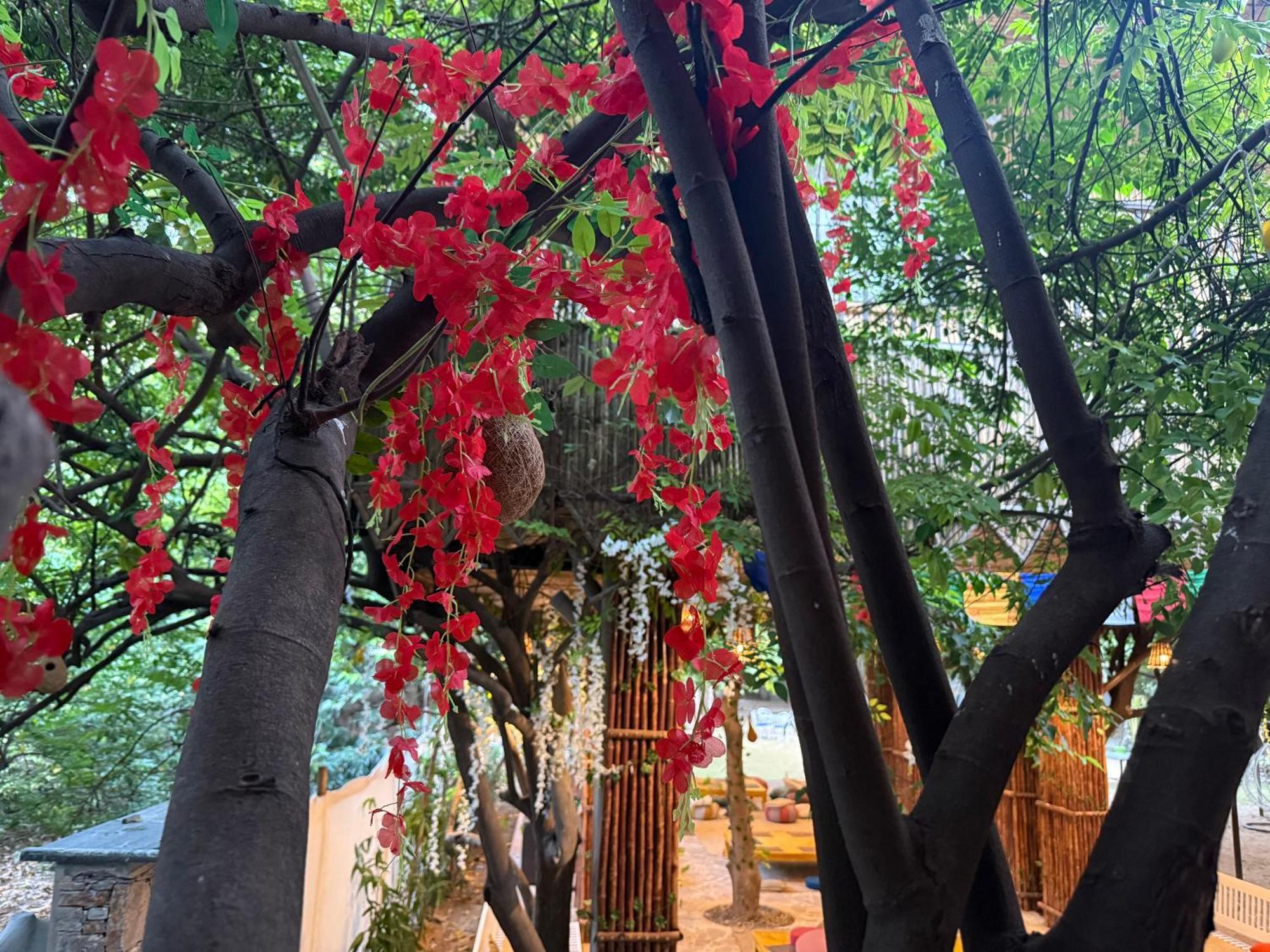 Hotel Green Heaven Resort Pushkar Luaran gambar