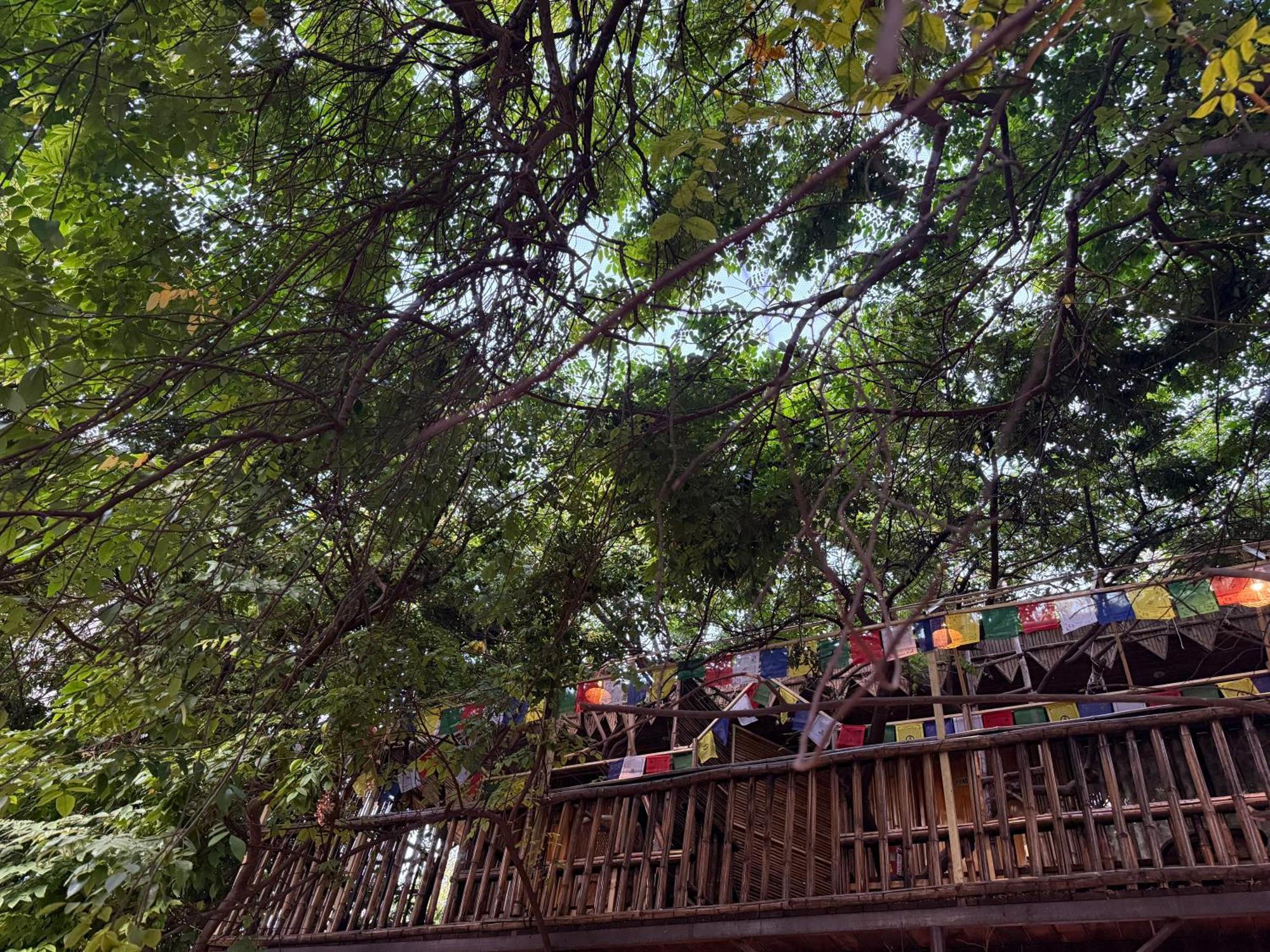 Hotel Green Heaven Resort Pushkar Luaran gambar