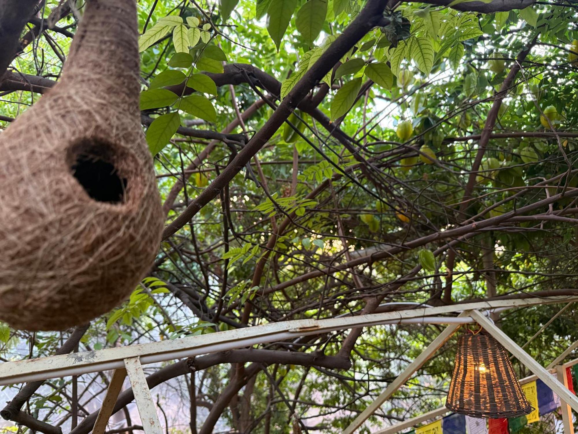 Hotel Green Heaven Resort Pushkar Luaran gambar