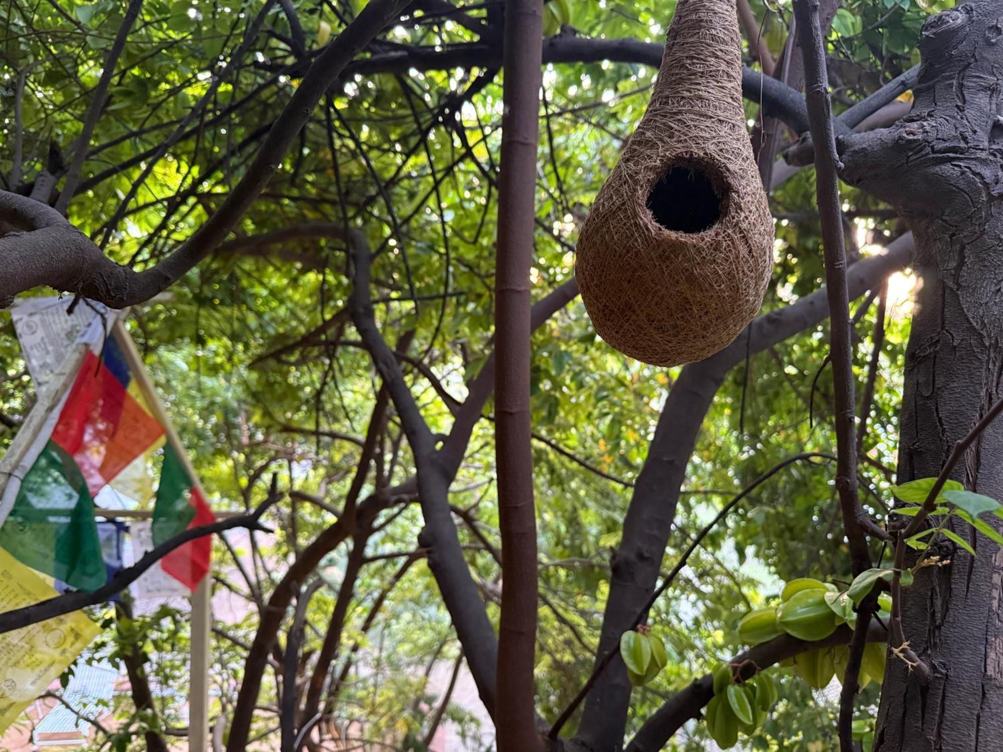 Hotel Green Heaven Resort Pushkar Luaran gambar