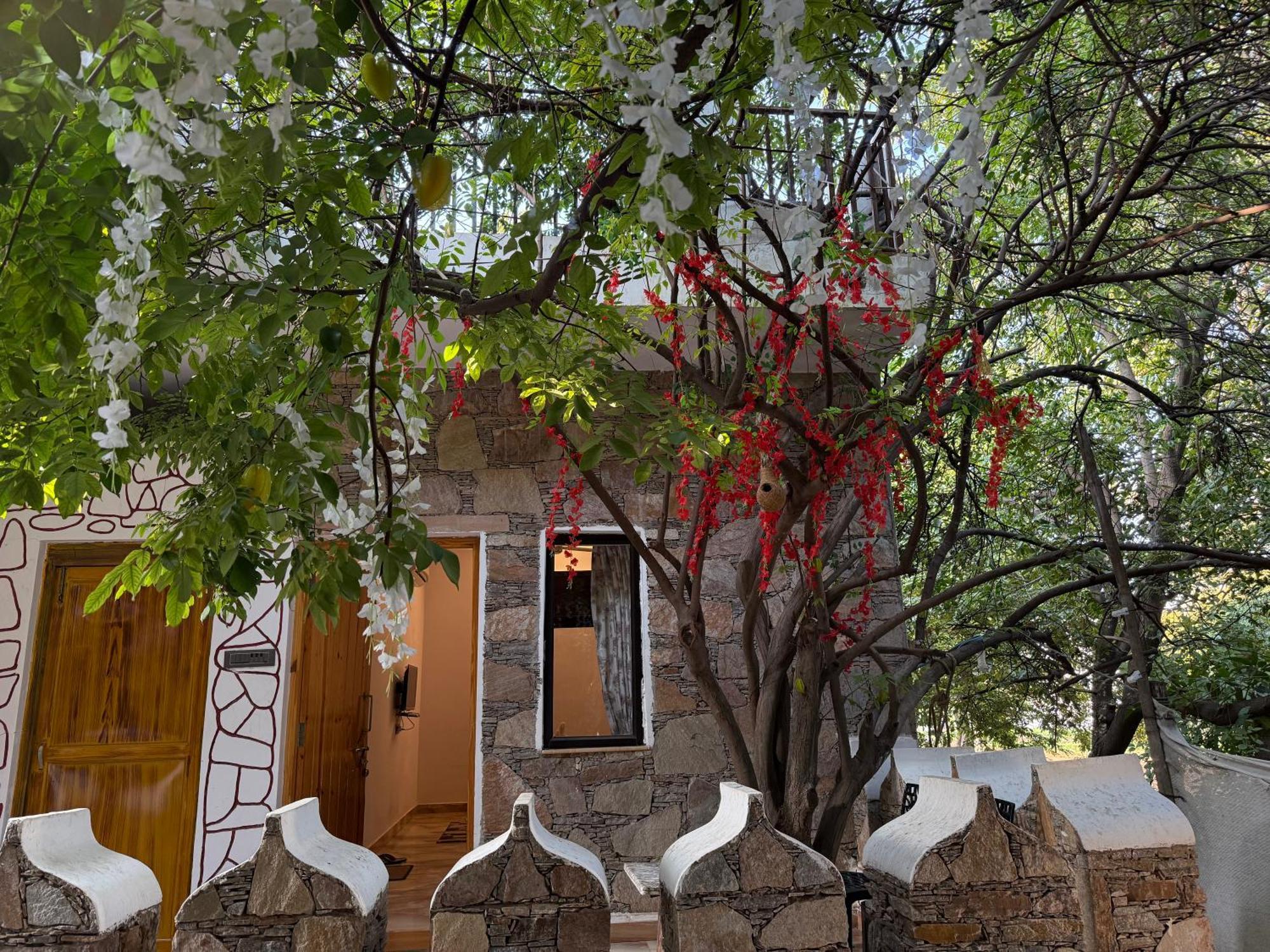 Hotel Green Heaven Resort Pushkar Luaran gambar